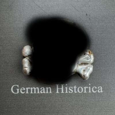Waffen SS, Totenkopf, Mütze, Uniform, Dolch, III. Reich, Ankauf Säbel Kiel , Schleswig Holstein, German historica 11561