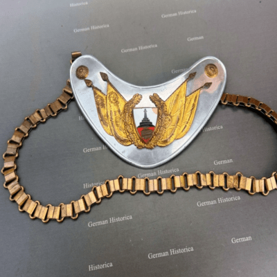 Kyffhäuser, Ringkragen, Fahnenträger, Kiel Ankauf15221